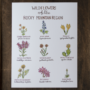 Recipe Book - Wildflower – Copper Fox Co